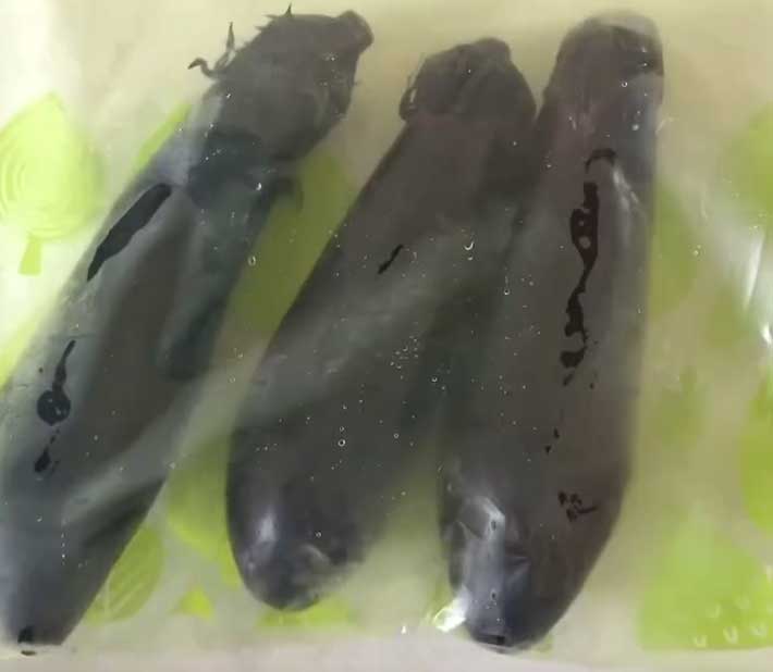 袋にナスを入れる