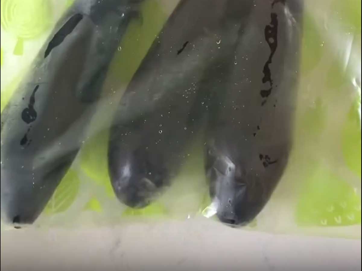ナス
