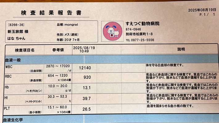 診断書の画像