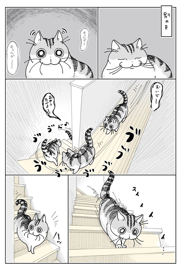 キュルZ（@kyuryuZ）さんの漫画