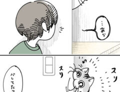 キュルZ（@kyuryuZ）さんの漫画