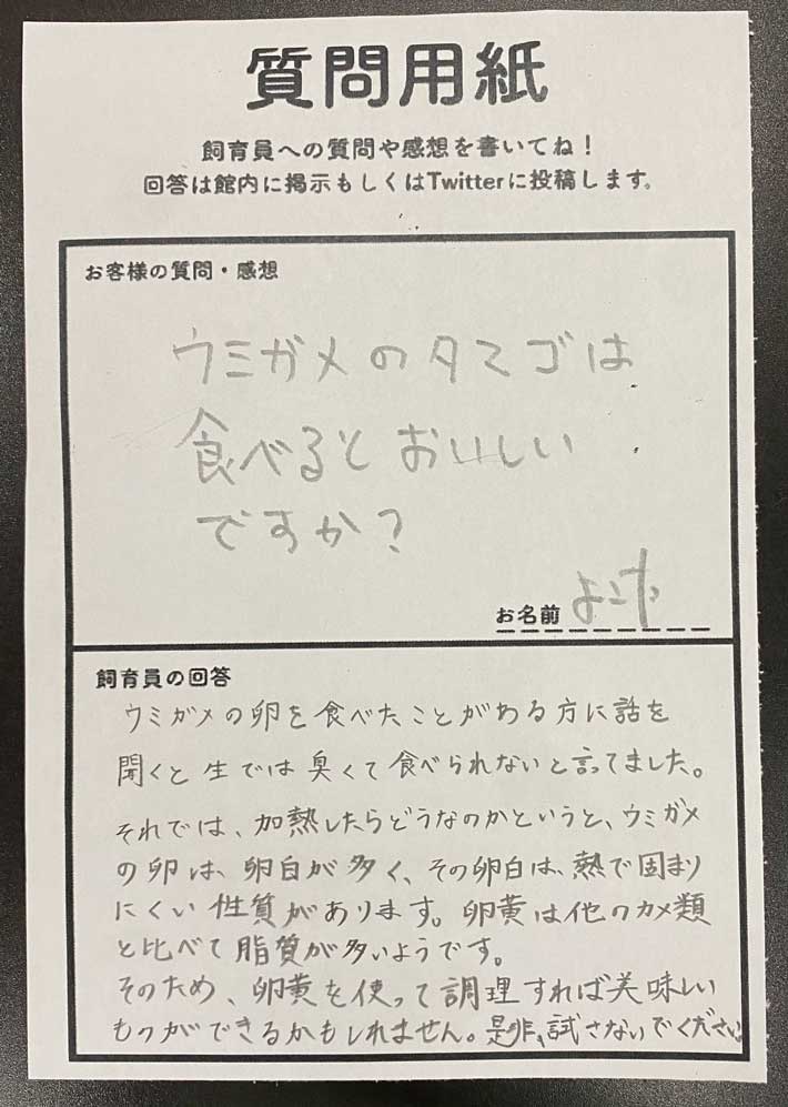 質問用紙の画像