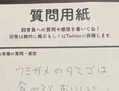 質問用紙の画像