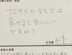 質問用紙の画像