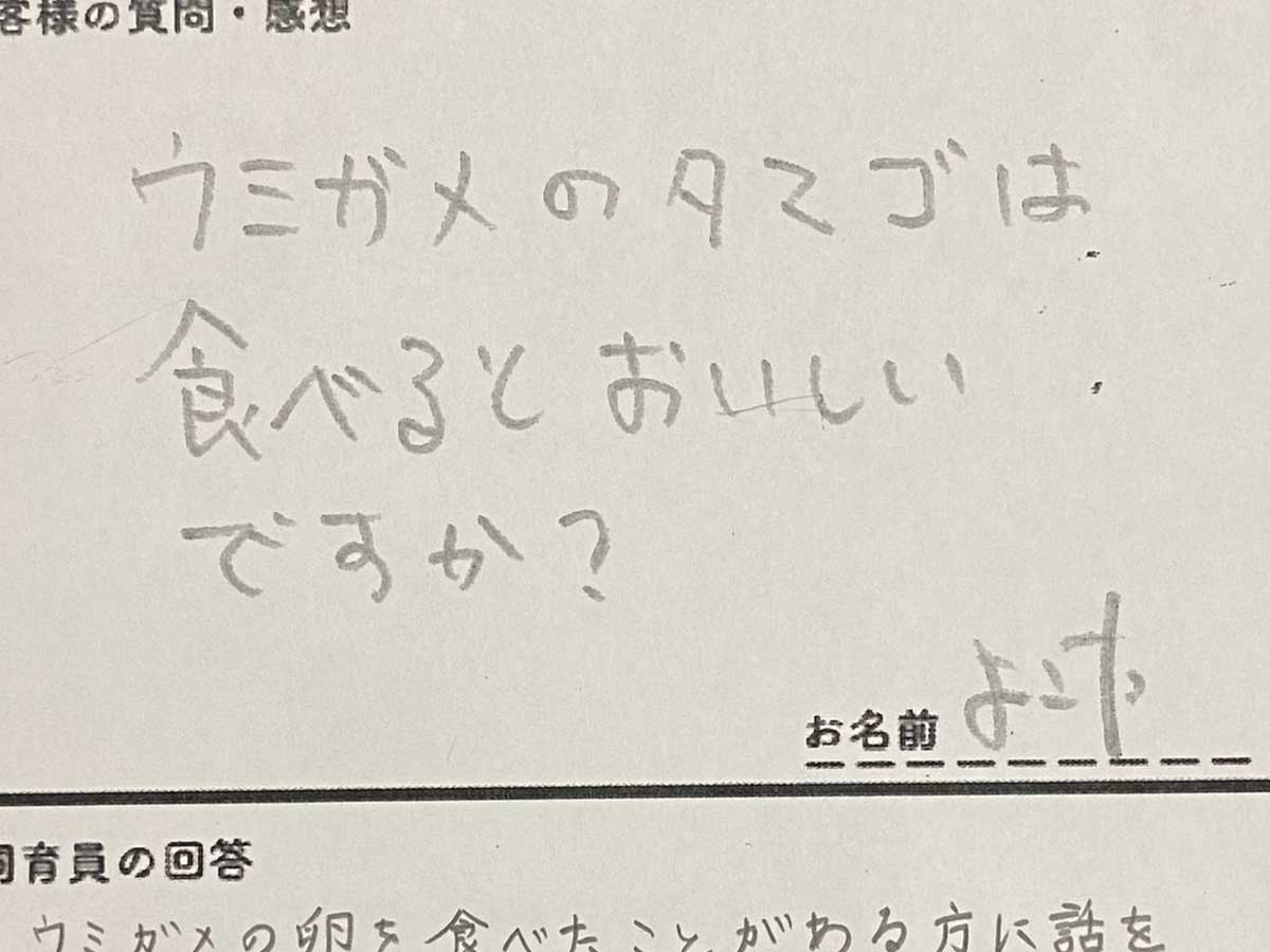 質問用紙の画像