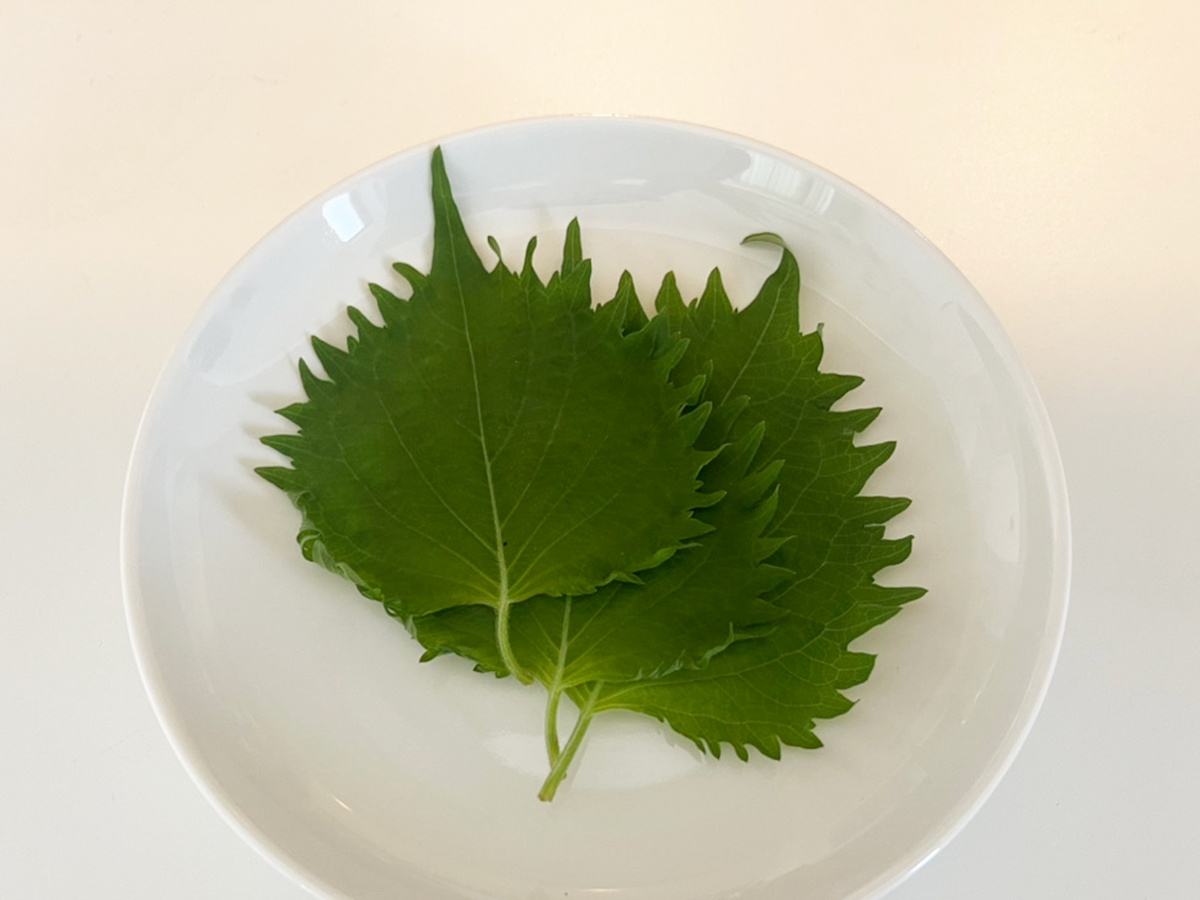 大葉