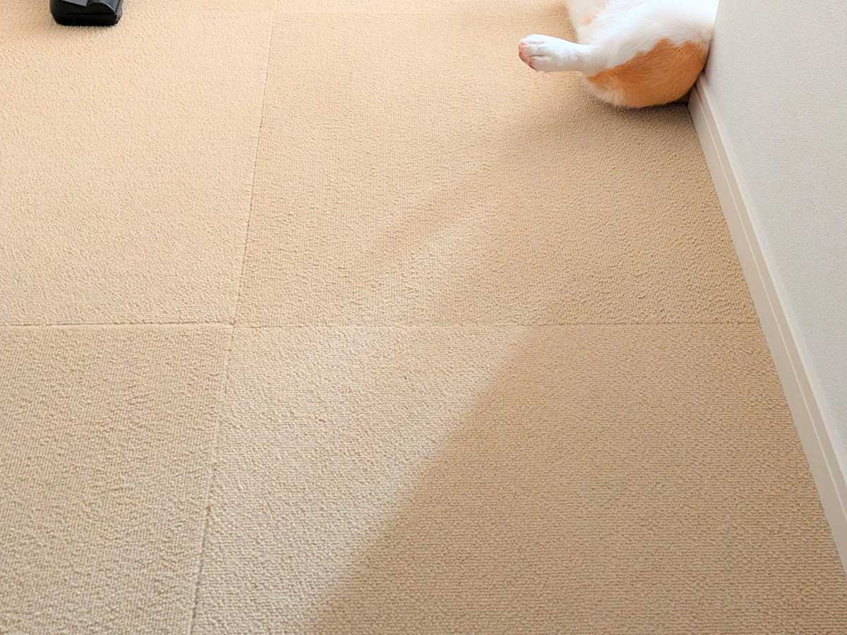 コーギー