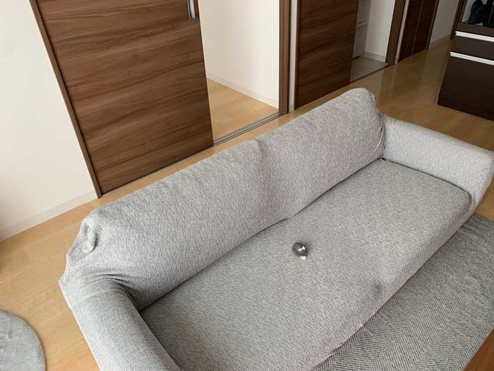 ハムスターの画像