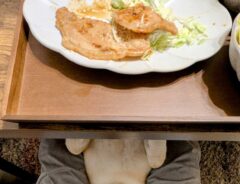 おこぼれ待ちをする犬