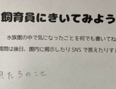 質問用紙の画像