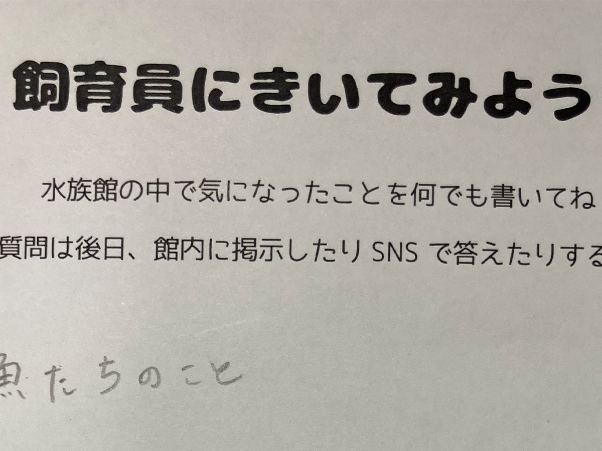質問用紙の画像