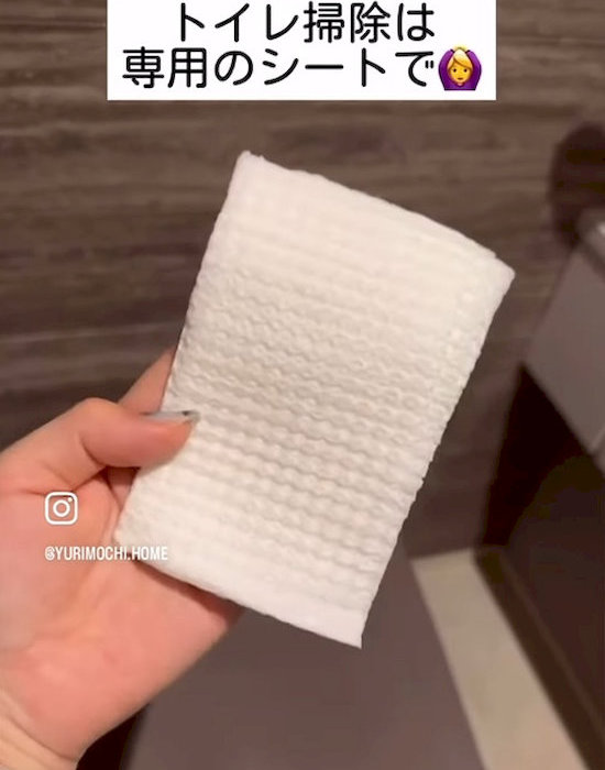 トイレ掃除用シートを手にしている様子