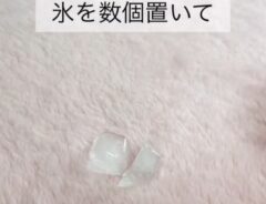 カーペット