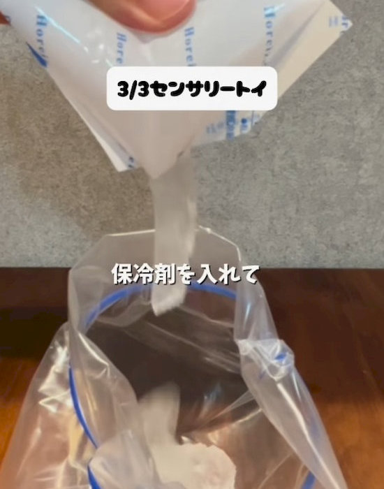 保冷剤をフリーザーバッグに入れている様子