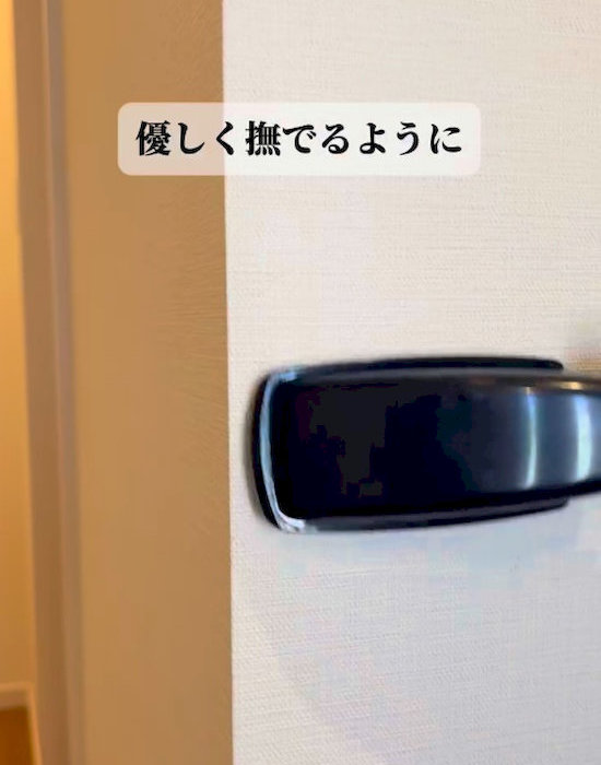 ホコリ取りブラシで壁を掃除している様子