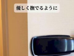 ホコリ取り