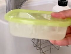 容器