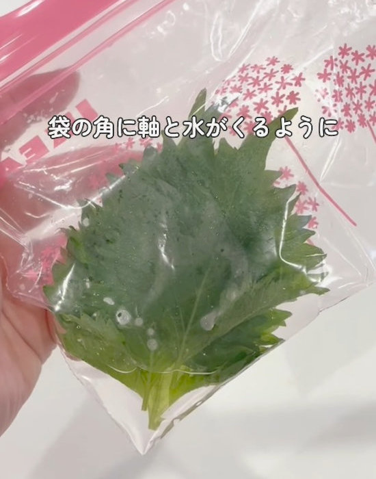 水を入れた保存袋に入れた大葉