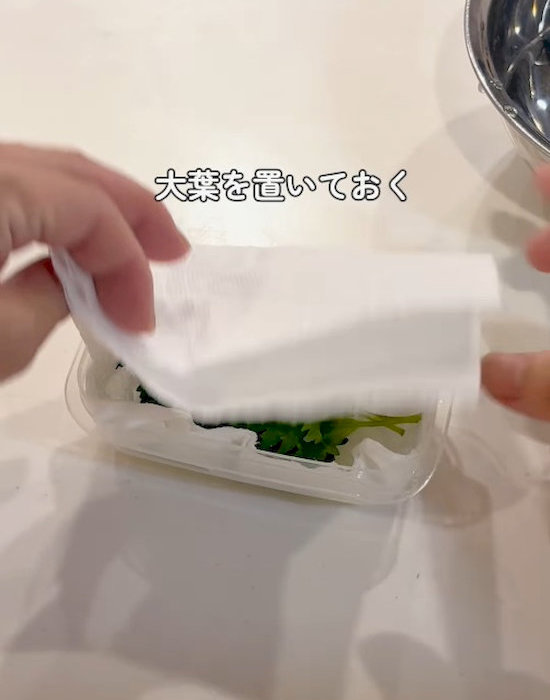 大葉の上にキッチンペーパーをかぶせる様子
