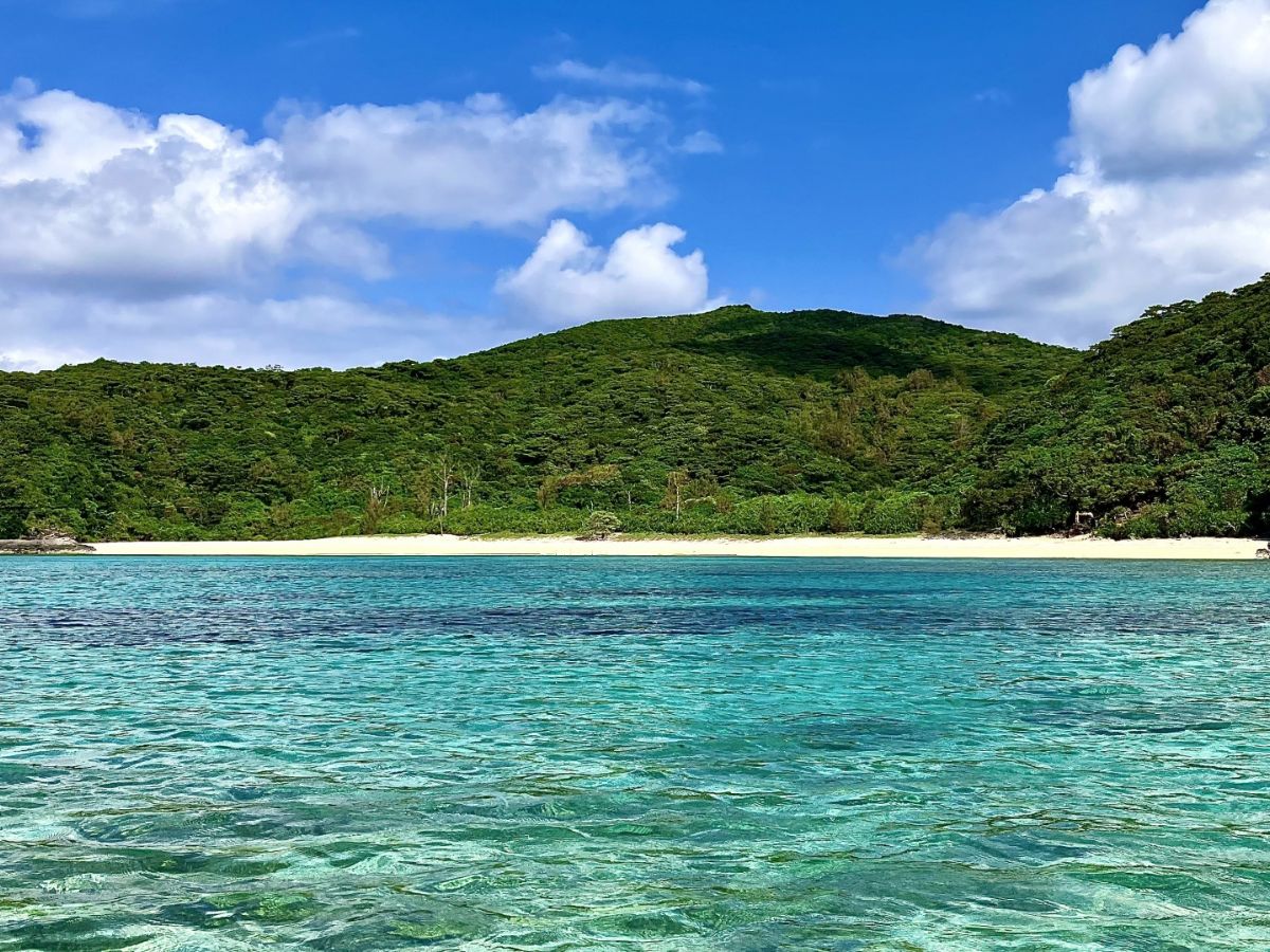 海