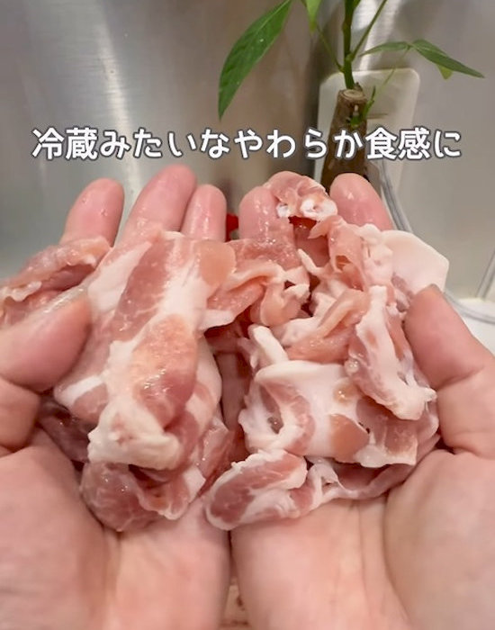 解凍された肉