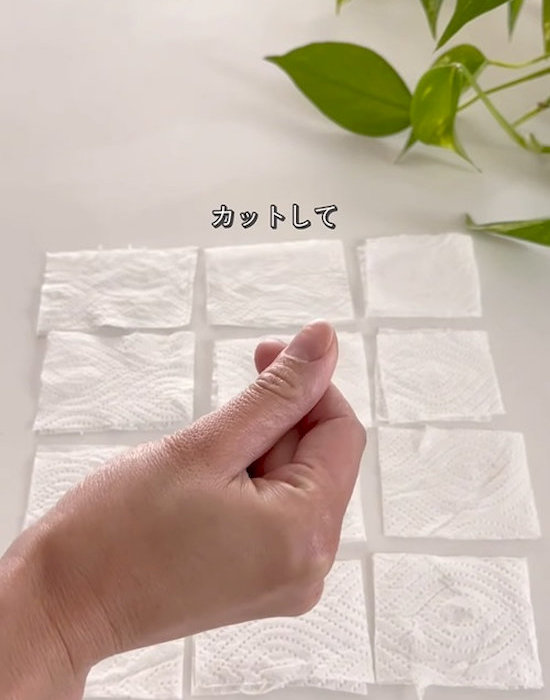カットした様子