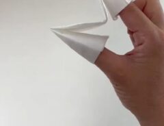 ティッシュ