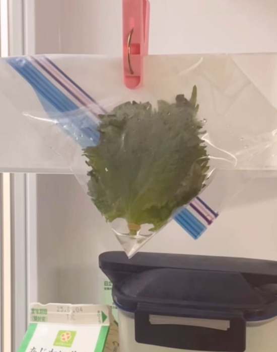袋に入った大葉