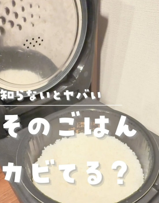 炊飯器は意外と汚れている