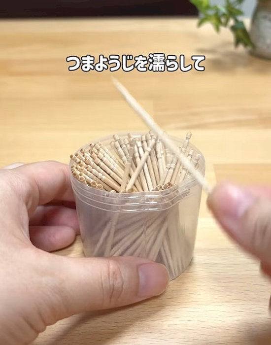 つまようじを手にしている様子