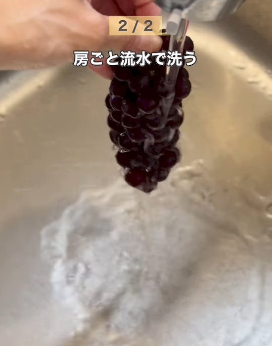 ブドウを洗う様子