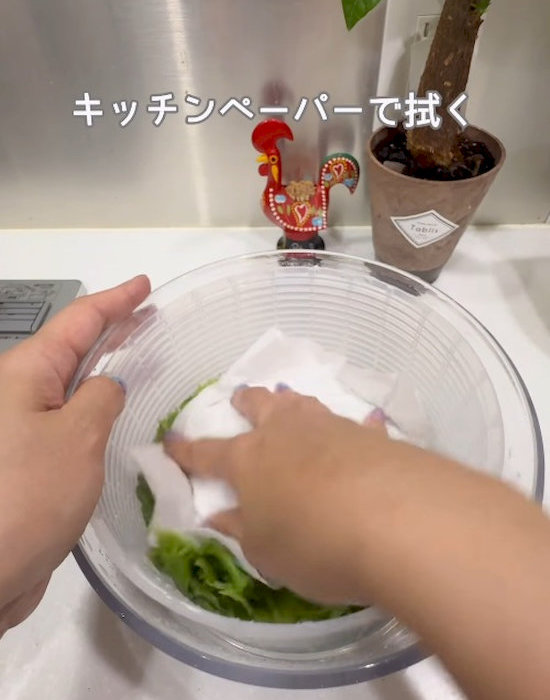 レタスをキッチンペーパーで拭いている様子