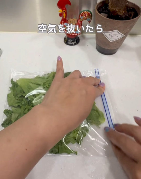 レタスをジッパー付き保存袋に入れている様子