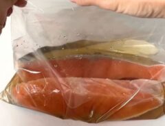 魚