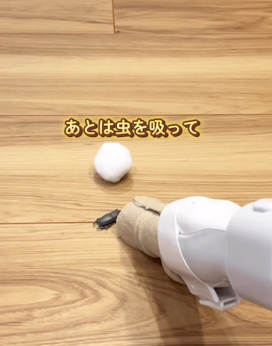 ノズルを付けた掃除機で虫を吸う様子
