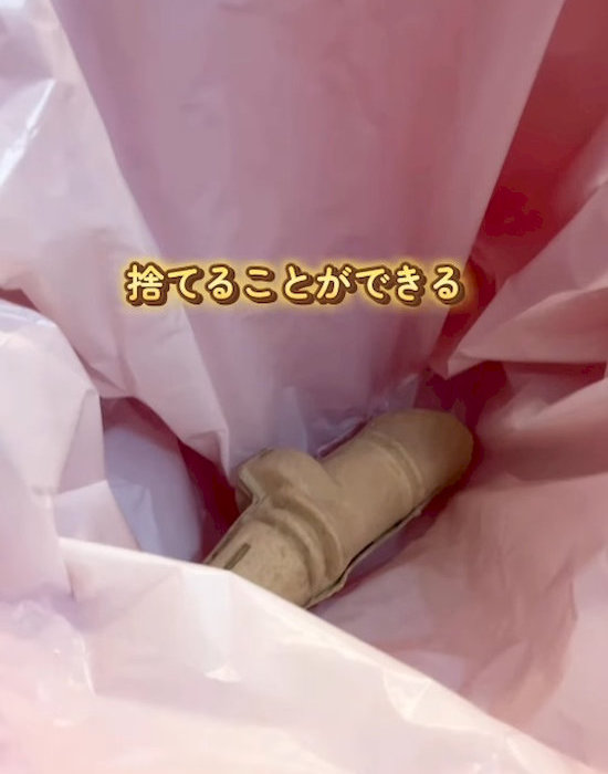ゴミ箱に捨てた『ゴキすぅーぽん』