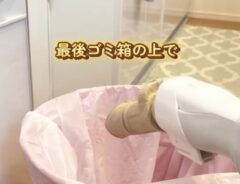 掃除