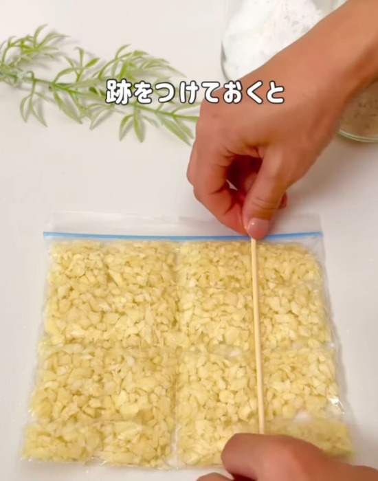 保存袋に入れた刻みニンニク