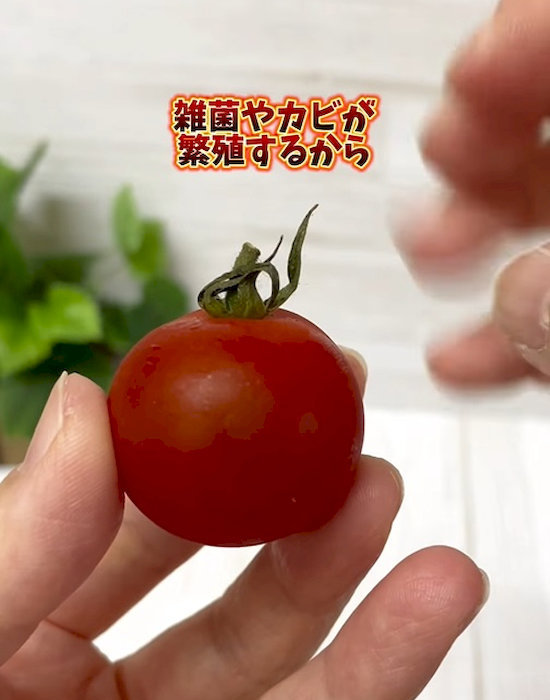 ヘタが反ったものは新鮮