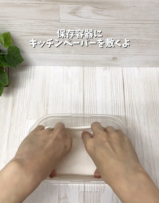 保存容器にキッチンペーパーを敷く