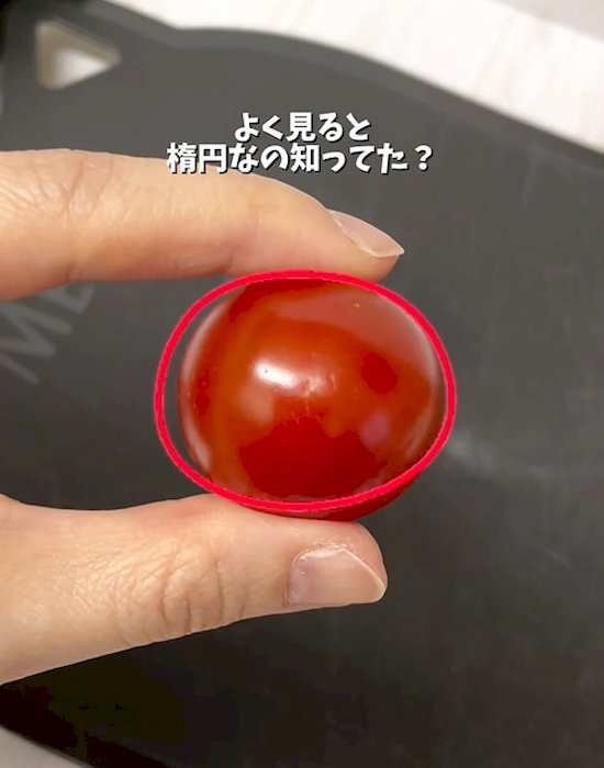 楕円形になっている
