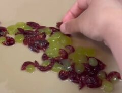 ブドウ