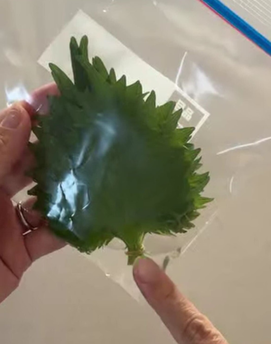 ジッパー付き保存袋の角に水を入れる