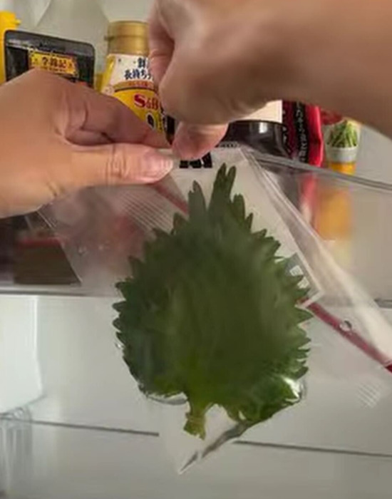 クリップで冷蔵庫に吊るす