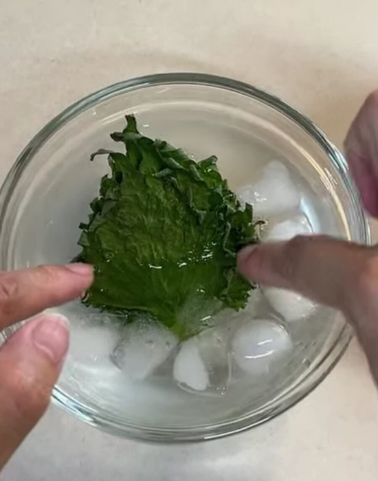 氷水に大葉を浸す