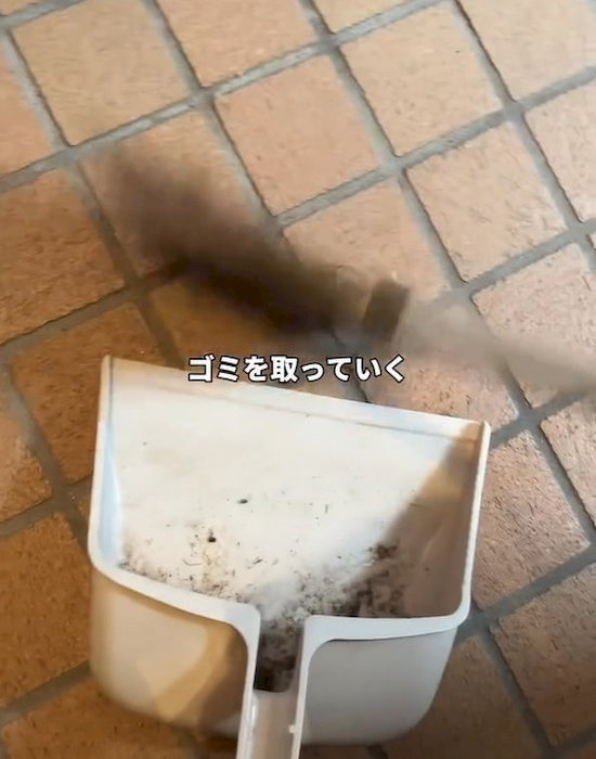 ホコリや砂を取り除く