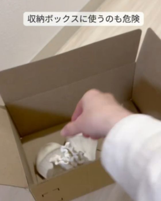 ダンボールに物を入れる様子