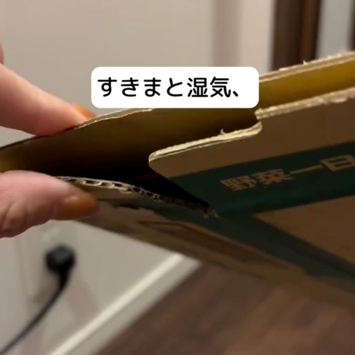 折りたたんだダンボールを手に持っている様子