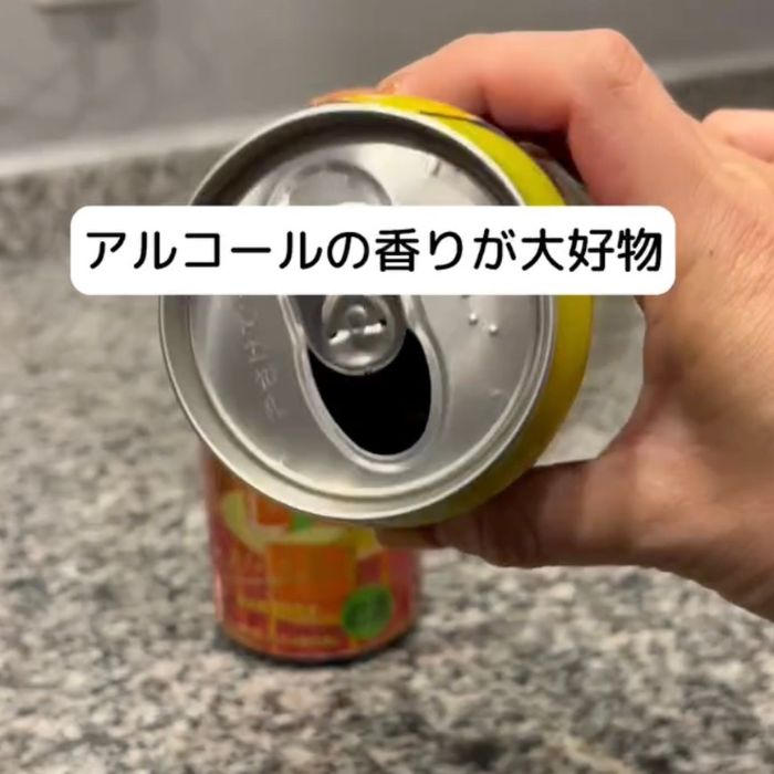 お酒の缶を手に持っている様子