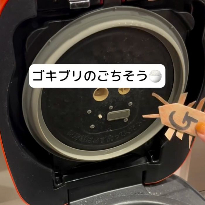 炊飯器の内蓋に紙で作ったゴキブリの人形を近付ける様子